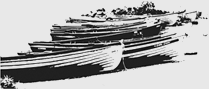boats