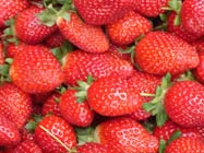 strawberries